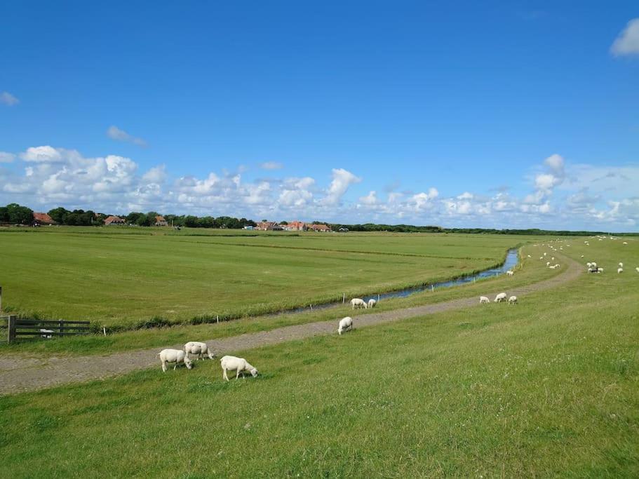 De Oostkamer; Eiland Appartement Naast Natuurgebied Boschplaat Oosterend  Exterior foto